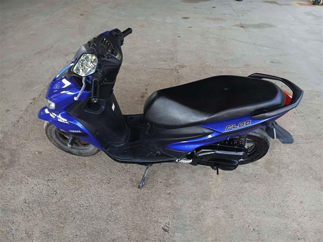 YAMAHA FLUO 125 ANO 2023/2024